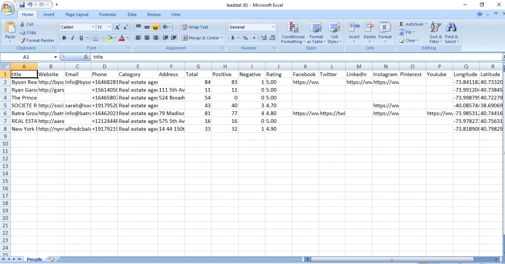 New York Real-Estate Agents' scraping result page in Ms Excel format