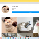 An Instagram Hashtag search page