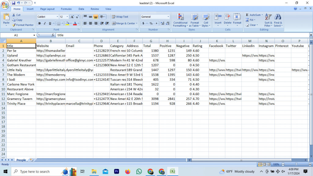 Result page in Excel format after scraping using LeadStal
