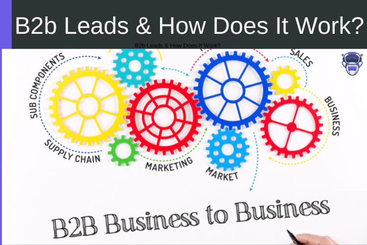 B2b Leads & How Does It Work
